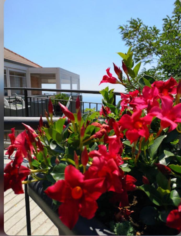 Santangelo Hotel Mattinata Kültér fotó